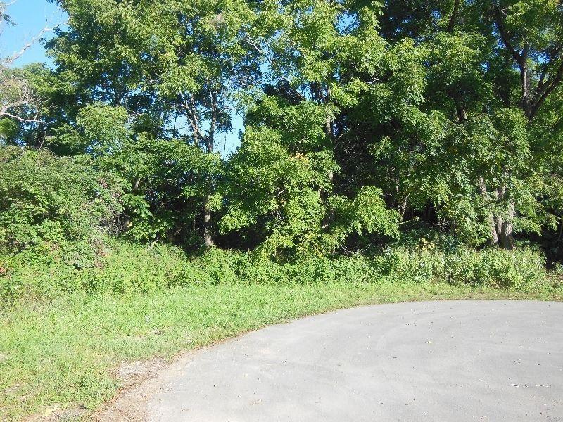 2.5 Acre Treed Lot Along Sauble River in Tara - The Saugeen Team
