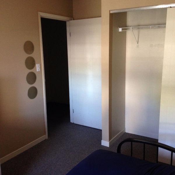 Room available downtown August 1