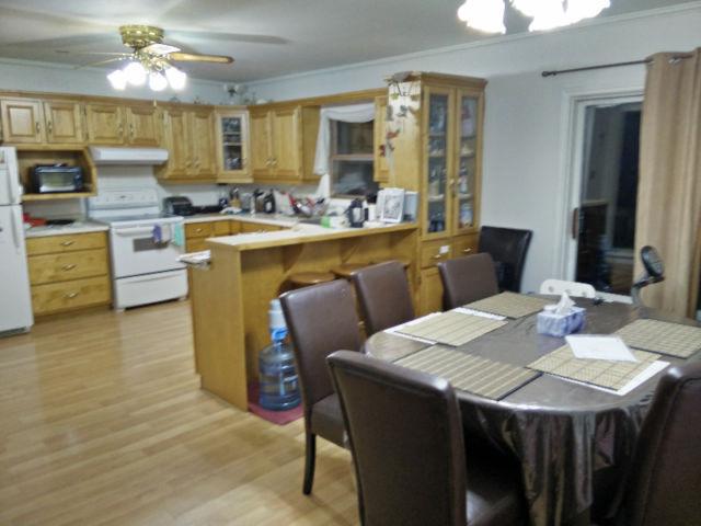 - Victoria Park + Bus Terminal. Large Room Avail Now