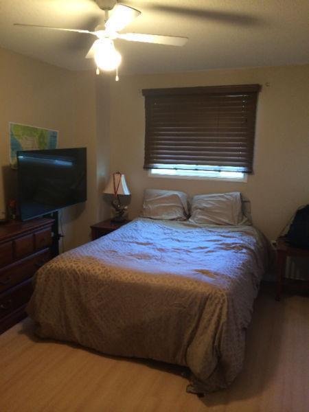 Large bedroom for rent