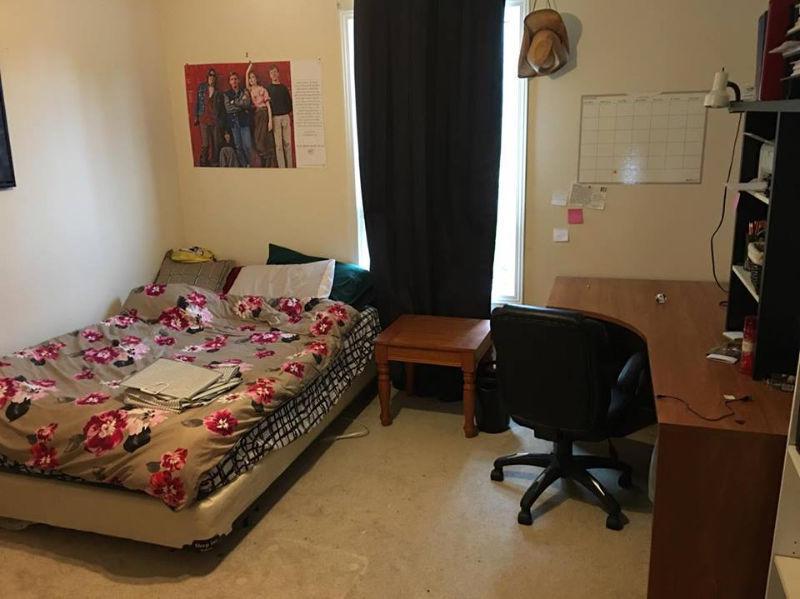 Wanted: Room for Rent - Student Housing