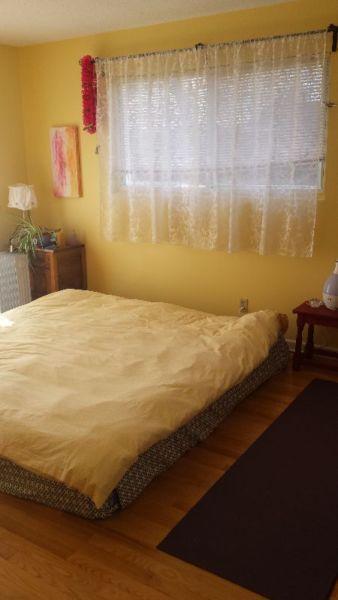 Dog Friendly, Lovely Roommate, July 1
