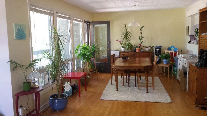 Dog Friendly, Lovely Roommate, July 1