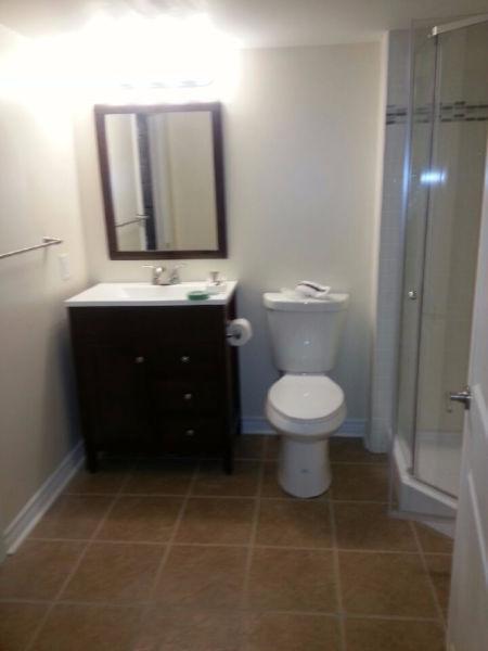 Large room in new town home (Terry Fox/Fernbank)