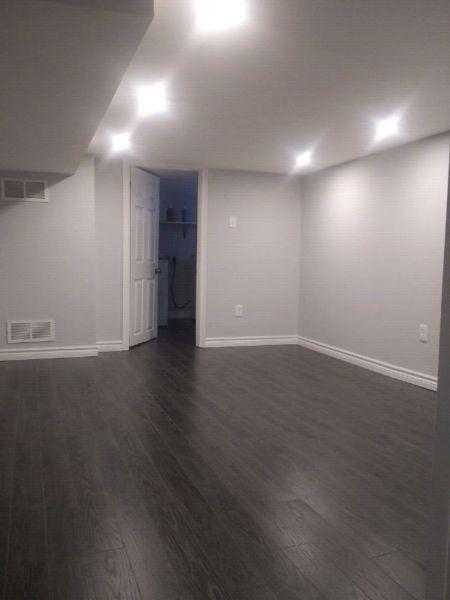 Newly renovated 1 bedroom basement appartment