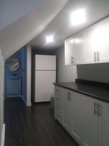 Newly renovated 1 bedroom basement appartment