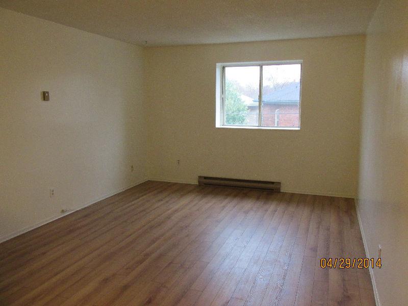 ADULT ONLY: Bright & Spacious 1BRM APT - Avail Aug / Sept