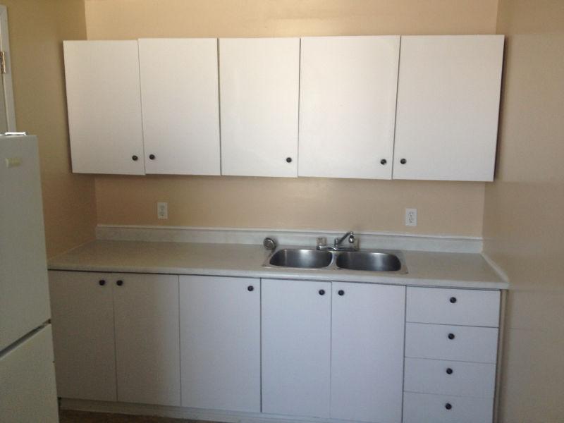 Newly renovated Large and Bright 1 BR on Park Available July 1st