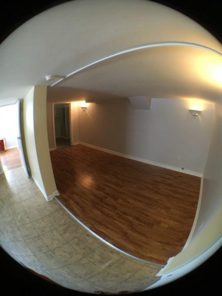 Cozy Newly Renovated One Bedroom on Haig St.- West End