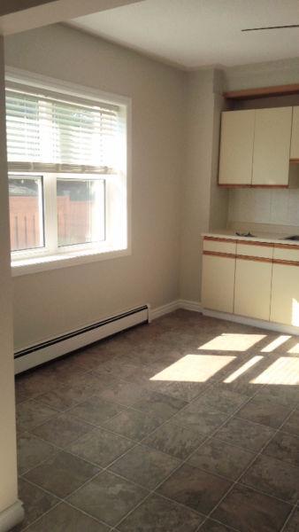 MUST VIEW*** Renovated Beautiful Spacious 1 BR Apartment