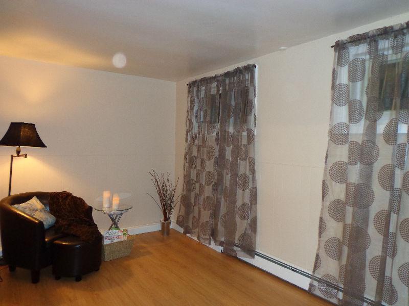 Kirkland Lake Bright One Bedroom Apartment