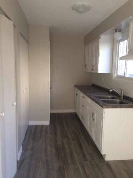TWO BEDROOM TOWNHOUSES NEWLY RENOVATED NOW RENTING