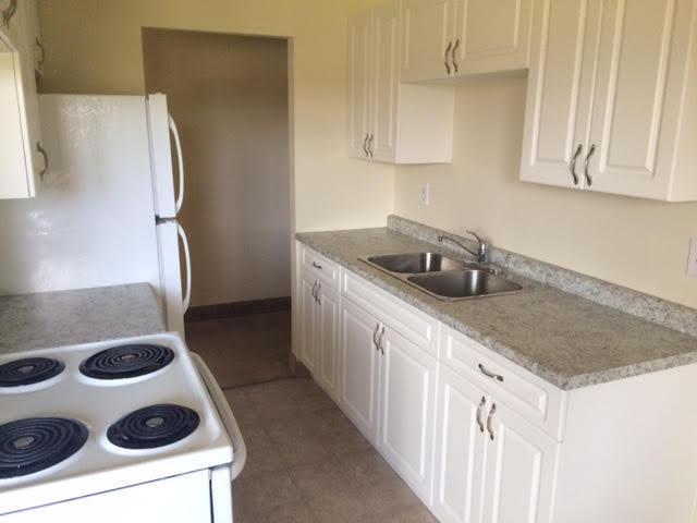 Newly Renovated Apartment Minutes Away From Campus!