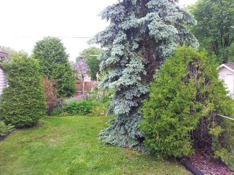 2 rooms in a House for Rent Near Laurentian U!
