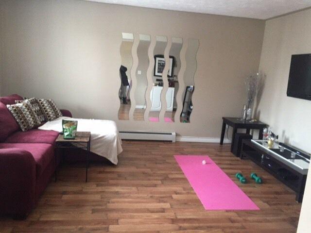 2BR condo in minnow lake