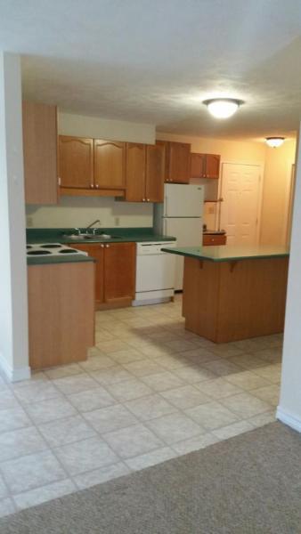 BRIGHT, SPACIOUS 2BR IN S'SIDE H/HW/BALCONY $725