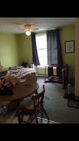 Appartement 1 1/2