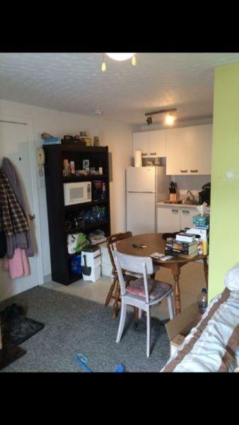 Appartement 1 1/2