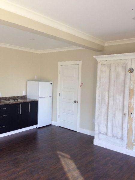 Bachelor With Full Bathroom/ tub/shower, All new, main floor