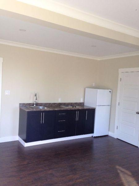Bachelor With Full Bathroom/ tub/shower, All new, main floor