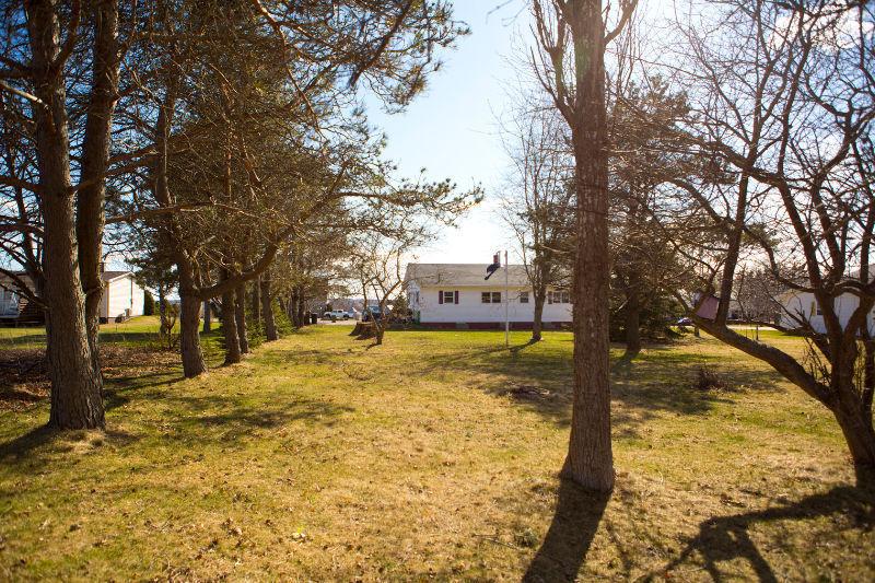 Updated rancher on a huge lot, gorgeous property!