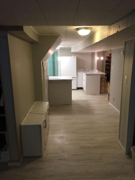 Newly renovated!! 2 Bed basement apt. 8 MIN WALK NIAGARA COLLEGE