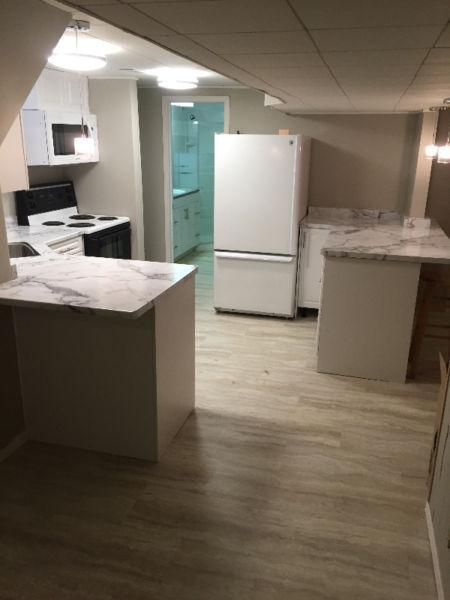 Newly renovated!! 2 Bed basement apt. 8 MIN WALK NIAGARA COLLEGE