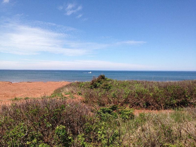 RARE_GORGEOUS NORTH SHORE BEACH LOT