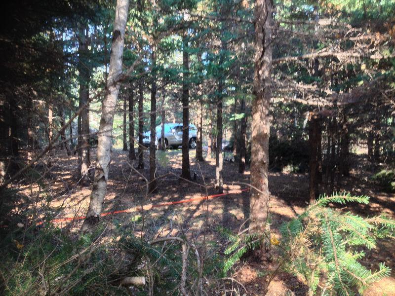 SAVAGE HARBOUR-$35000 For 2 CLEARED LOTS - MINUTES WALK TO BEACH