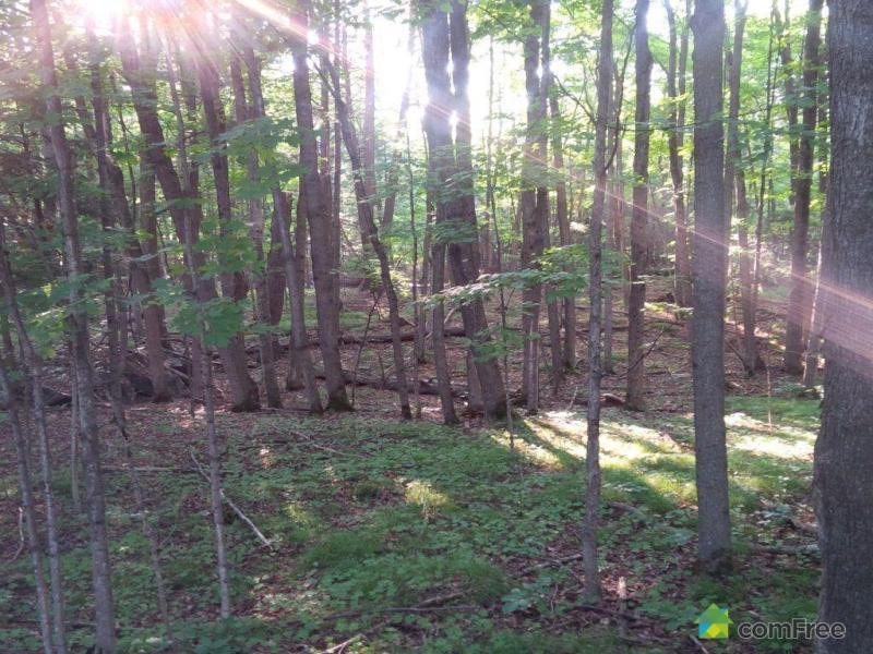 $79,900 - Price taxes not included - Residential Lot in Almonte