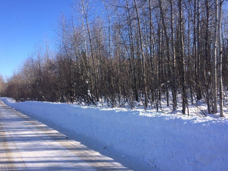 Wooded Building lot in South Porcupine