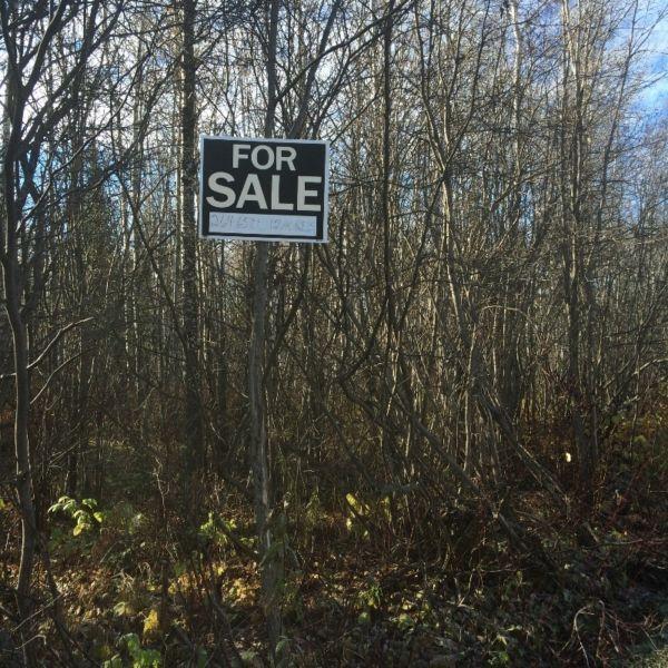 Wooded Building lot in South Porcupine