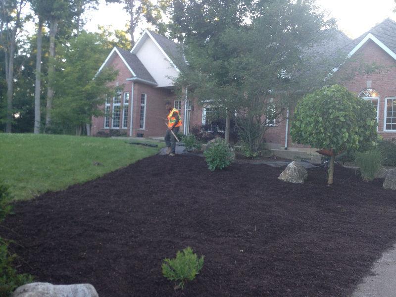 #1 Brampton Gardeners That Care,Sod,Planting,Makeovers*Available