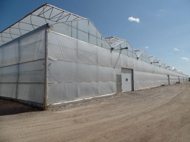 Looking for a greenhouse?