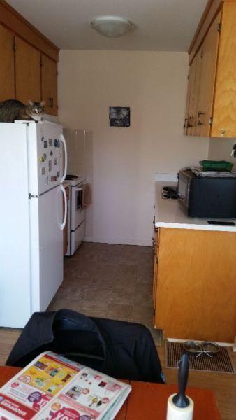 Looking for a roommate