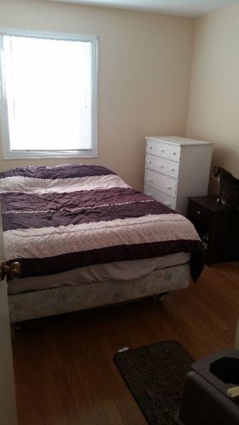 Looking for a roommate