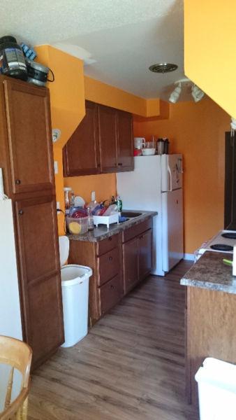 Better Student Living