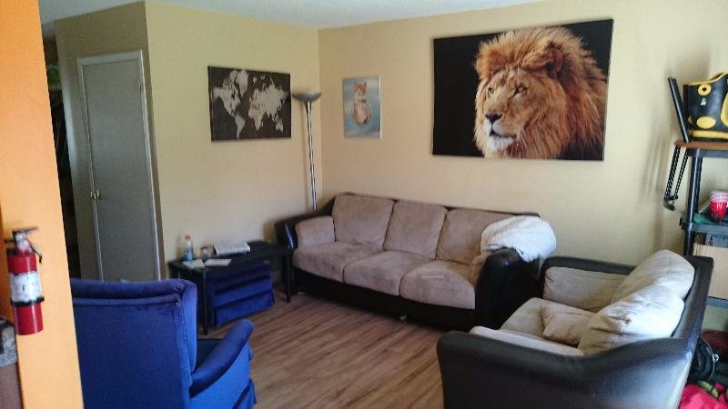 Better Student Living