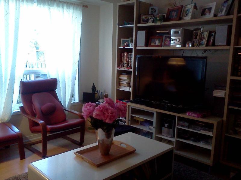 looking for the right fit