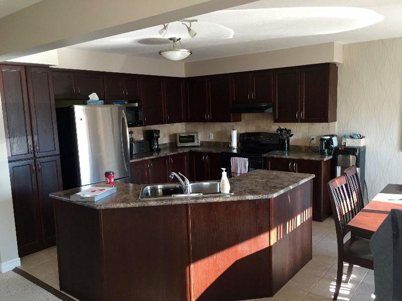 1 Bedroom near  General Hospital for rental