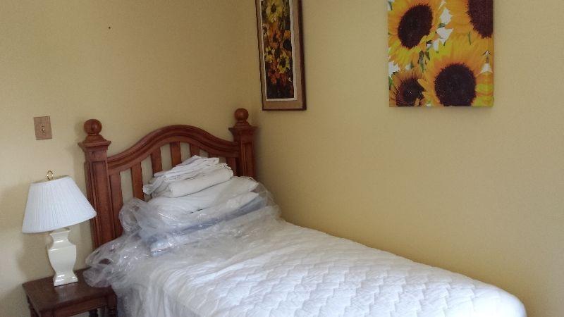 Large Clean, Quiet Room Newly Redecorated (Price Negotiable)