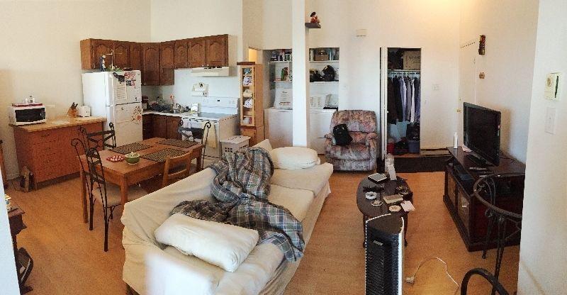 LOFT Rosemont-La-Petite-Patrie chambre séparée Masson