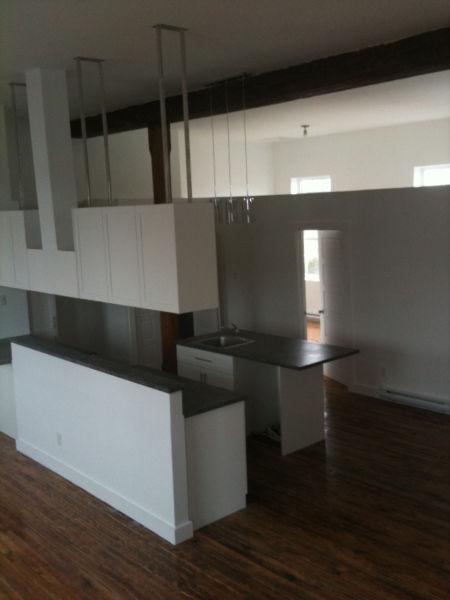 41/2 logement-condo super moderne pour personne très tranquille