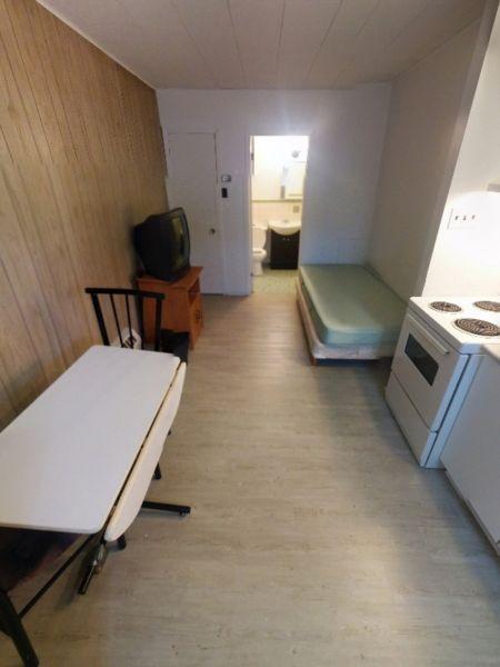 1 1/2 au centre-ville chauffé, éclairé, 1 coin de rue du Cégep