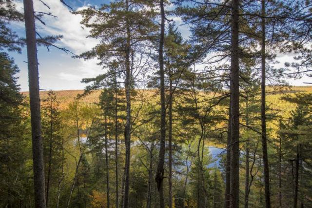 Hors du commun : vue sur le lac, aménagé et prêt à construire