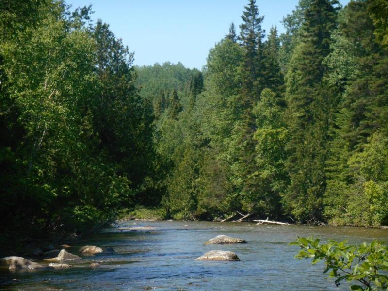 Terre à bois