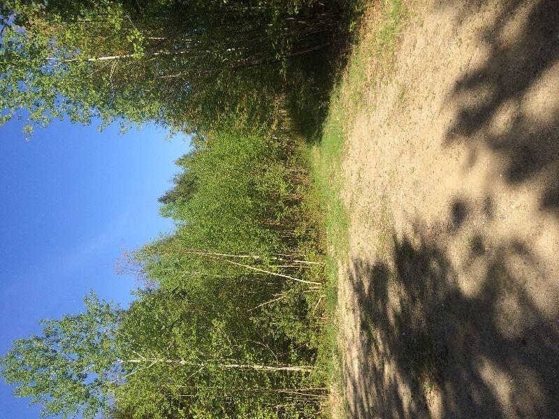 109 acres of land for $109 999 - fast sale !!!!