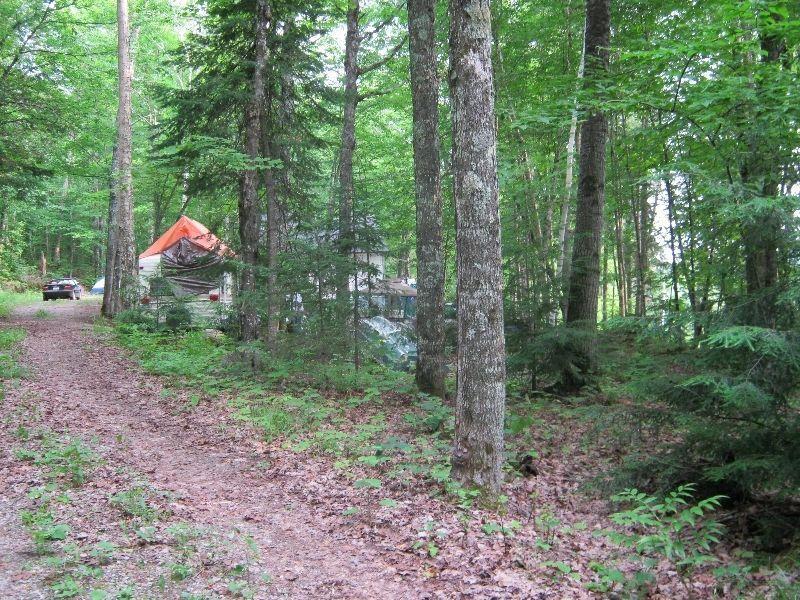 Terrain à vendre Lac-des-plages accès avec plage lac de-la-carpe