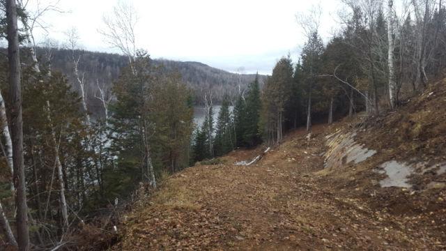 terrain bord du lac cameron (navigable)