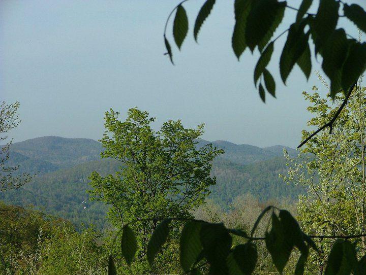 Terrain privé de 2.5 acres avec vue